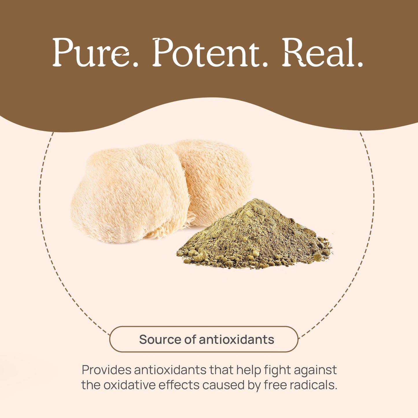 Real Mushrooms Lion’s Mane Powder - Organic Lions Mane Mushroom Extract with Immunomodulating Properties & Antioxidants - Vegan Mushroom Supplement, 60 Servings